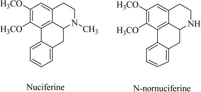 Pharmacokinetics of Nuciferine and N-Nornuciferine, Two Major Alkaloids From Nelumbo nucifera Leaves, in Rat Plasma and the Brain